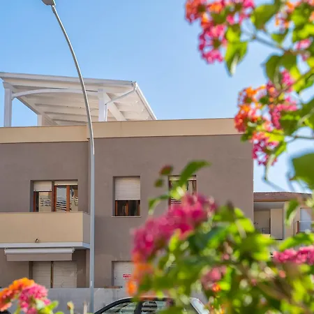 Pufferfish With Private Terrace